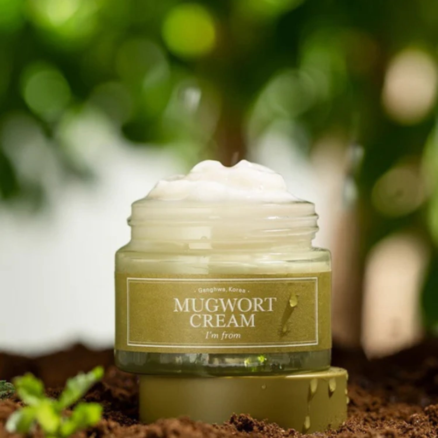 I'M FROM® Mugwort Cream (50g)