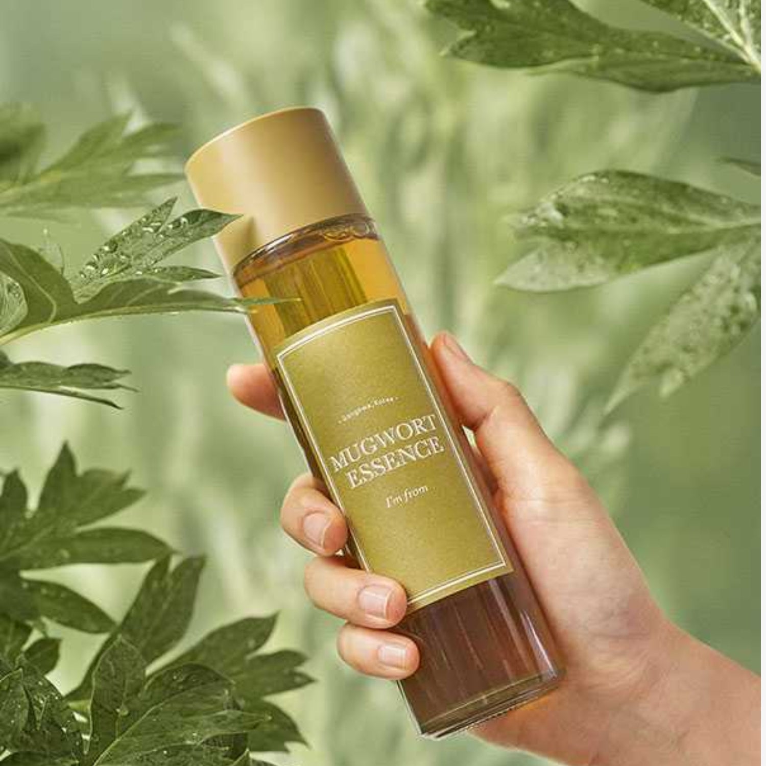 I'M FROM® MUGWORT ESSENCE (160ML)